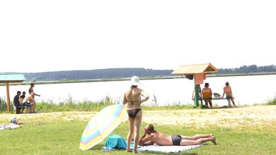 Photo of Семейный пикник на берегу реки