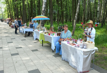 Photo of Пикник в парке с мастер-классами